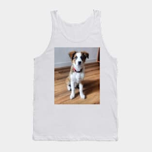 Charly Australian Shepherd Mix Tank Top